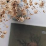 Dry Scalp - Notebook and Dried Flowers on a Table